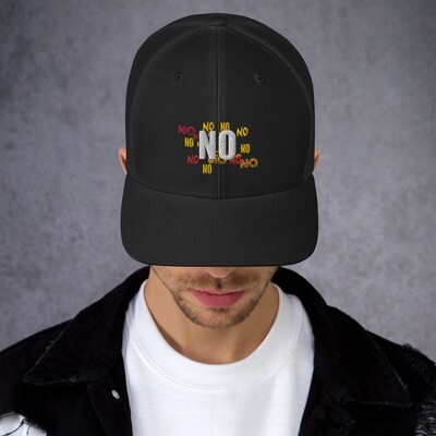 Tech Worker's Ballcap that says NO on it. Nothing else, just NO. A hat that says NO. That's what it is.