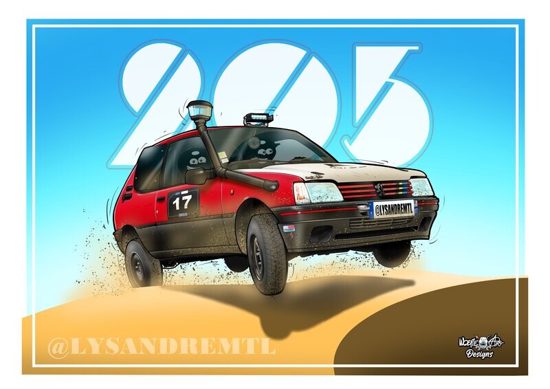 PEUGEOT 205 RALLY CAR