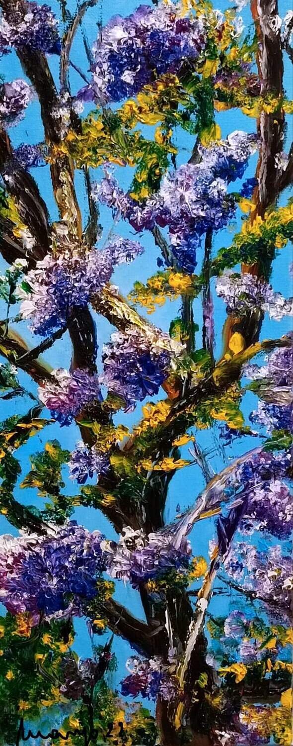 "RAMAS DE JACARANDAS"