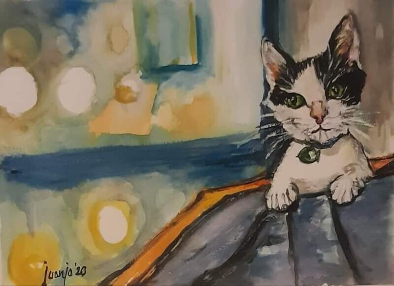 "GATITO"