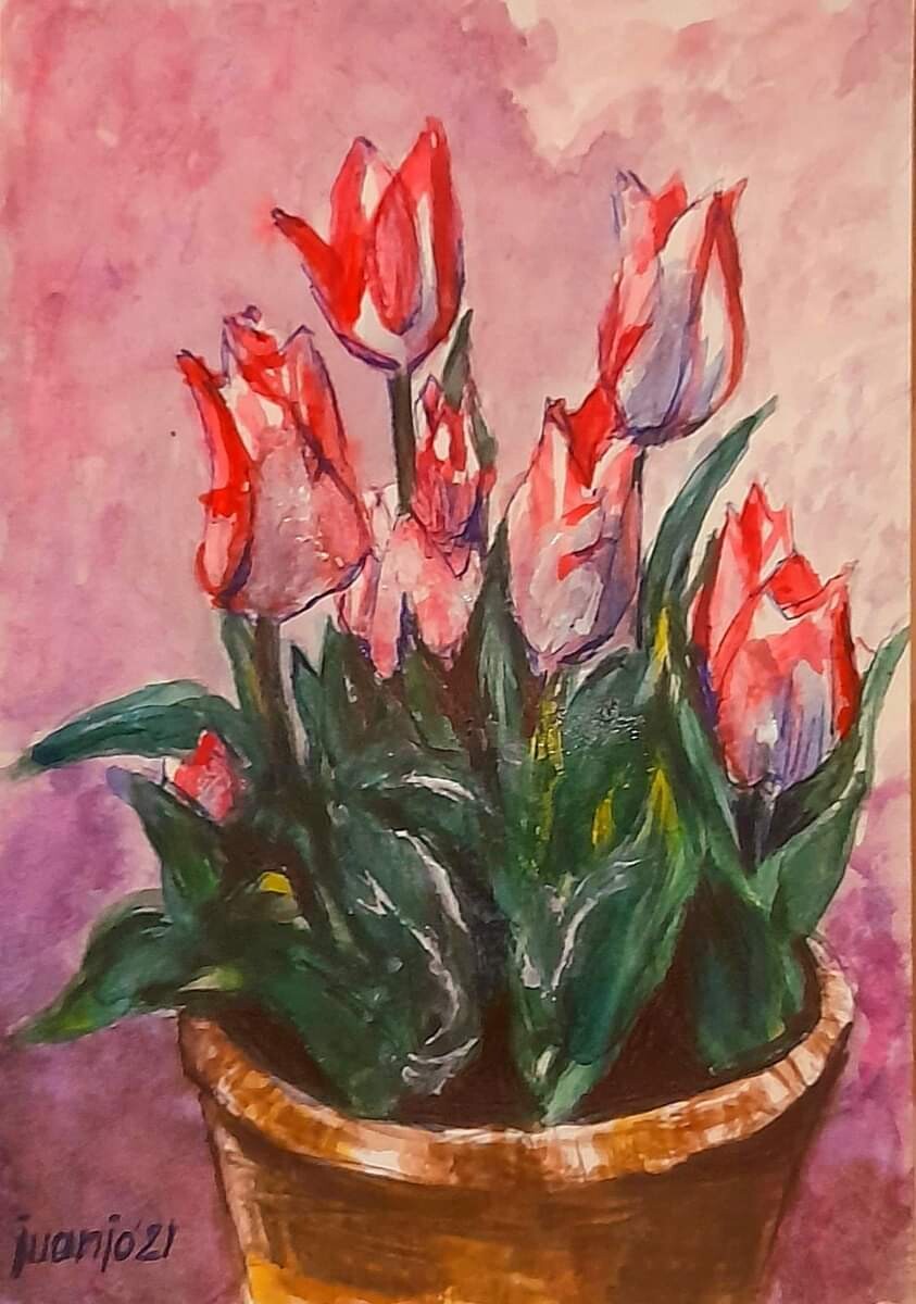 "MACETA CON TULIPANES"