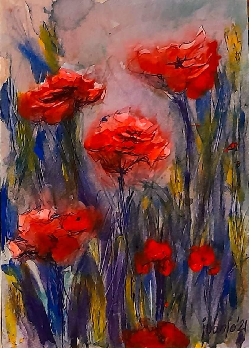 "AMAPOLAS SILVESTRES"
