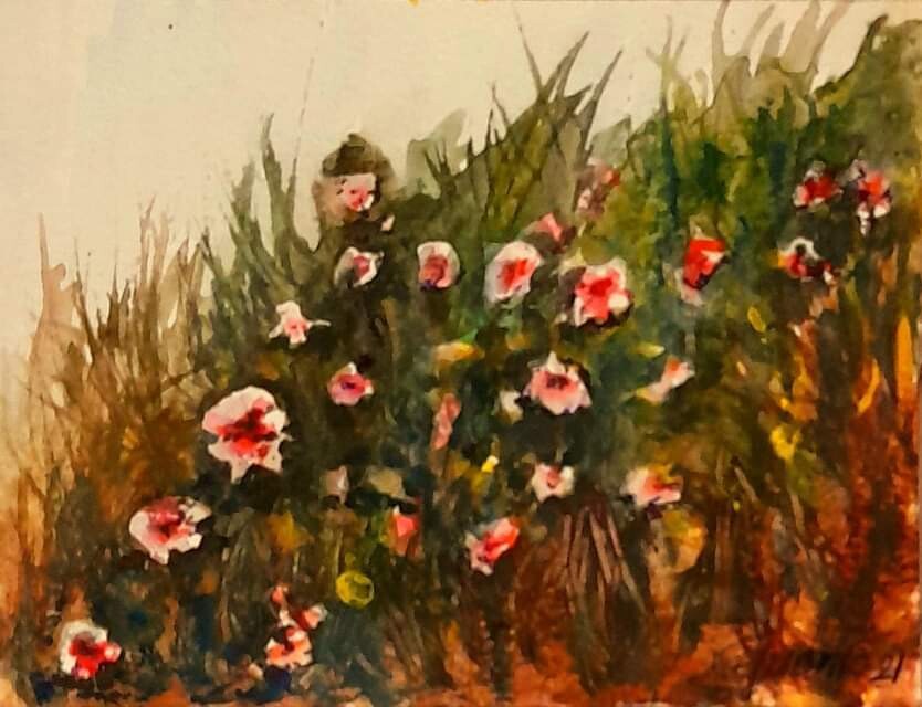 "RINCÓN SILVESTRE DE ROSITAS"