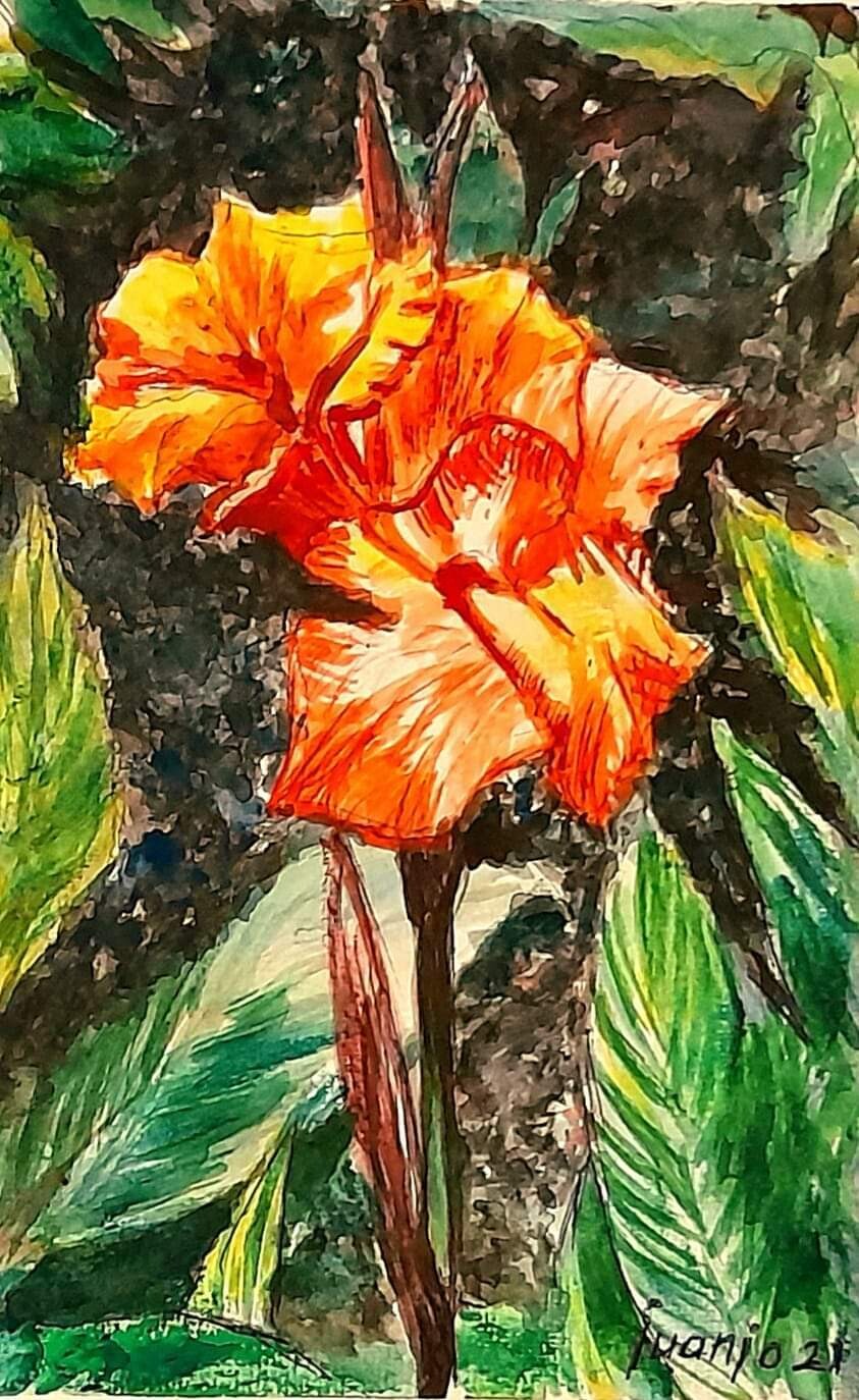 "FLOR DEL PARQUE"