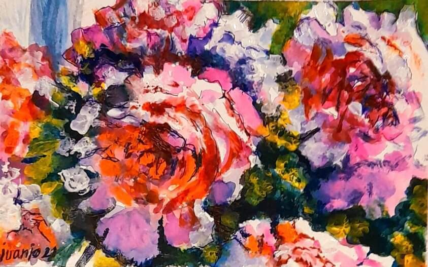 "ROSAS DE LAS NIEVES"