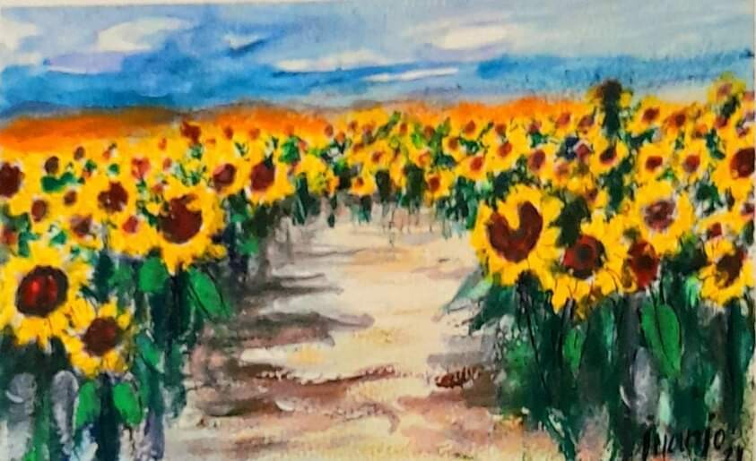 "GIRASOLES DE VERANO"