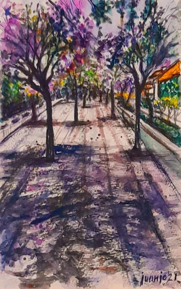 "PASEO ENTRE JACARANDAS"