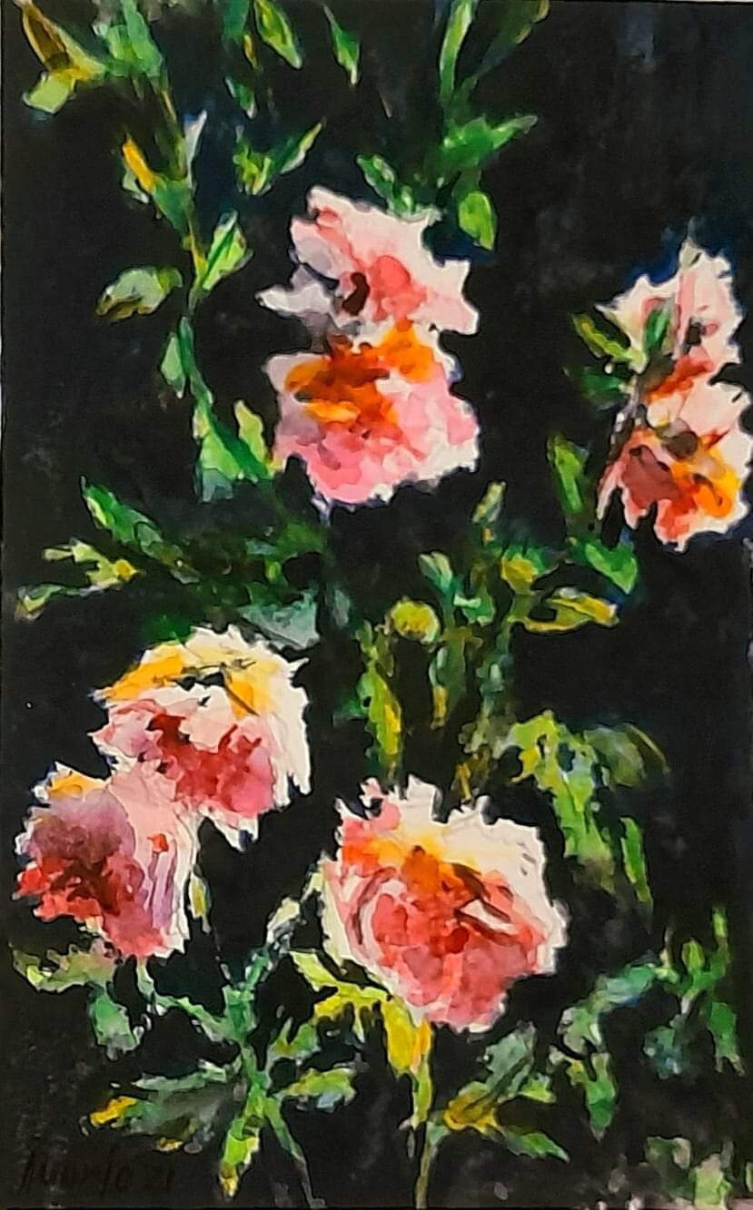 "ROSAL DE UNA NOCHE DE VERANO"