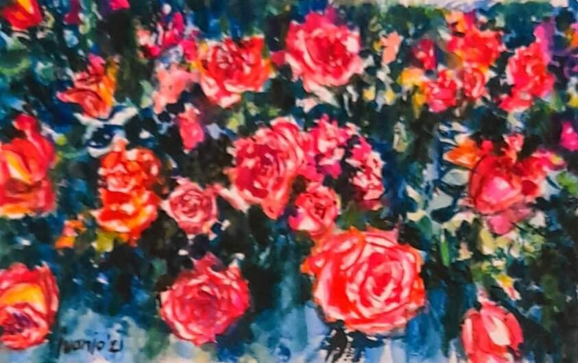 "ROSAL VERANIEGO"