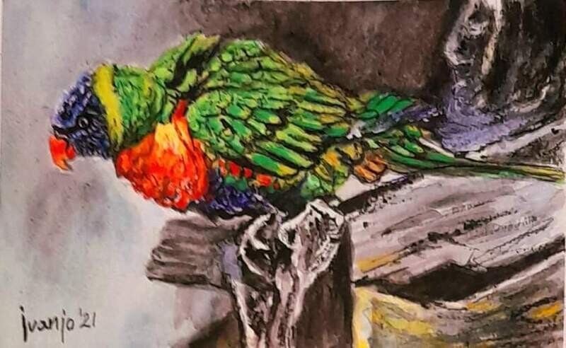 "LORO"