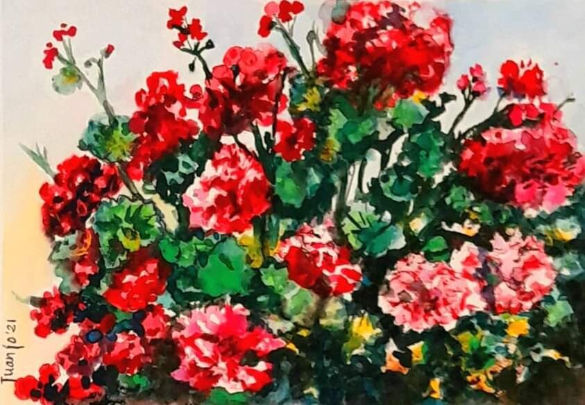"GERANIOS ROJOS"