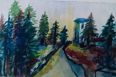 "ENTRE PINARES"