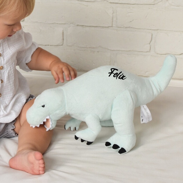 Dino klein  (27 cm )