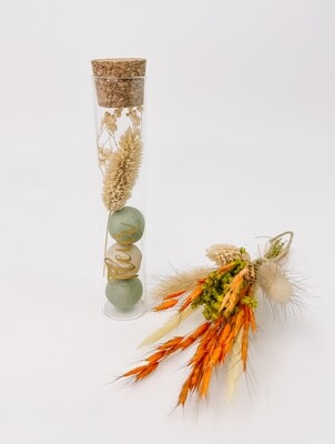 Proefbuisje met bloembollen