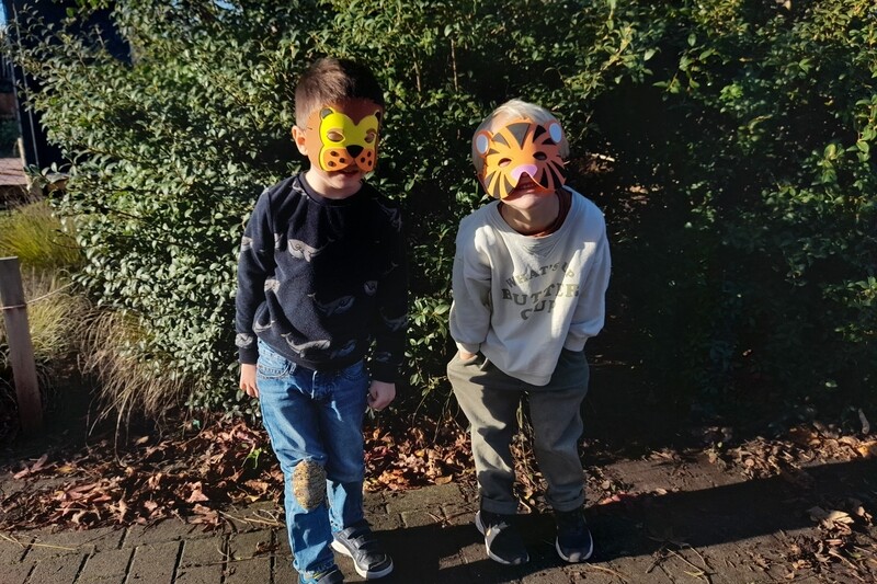 Jungle maskers knutselpakket 3 stuks: leeuw, olifant en tijger