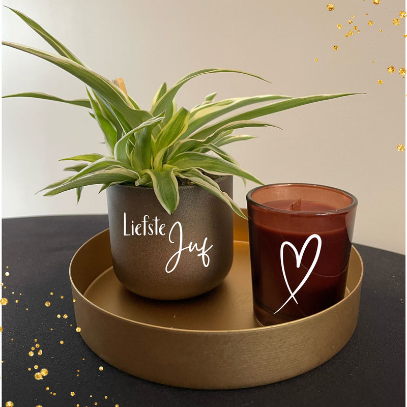 Plantje chlorophytum met geurkaars