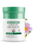 Cistus Incanus Capsules