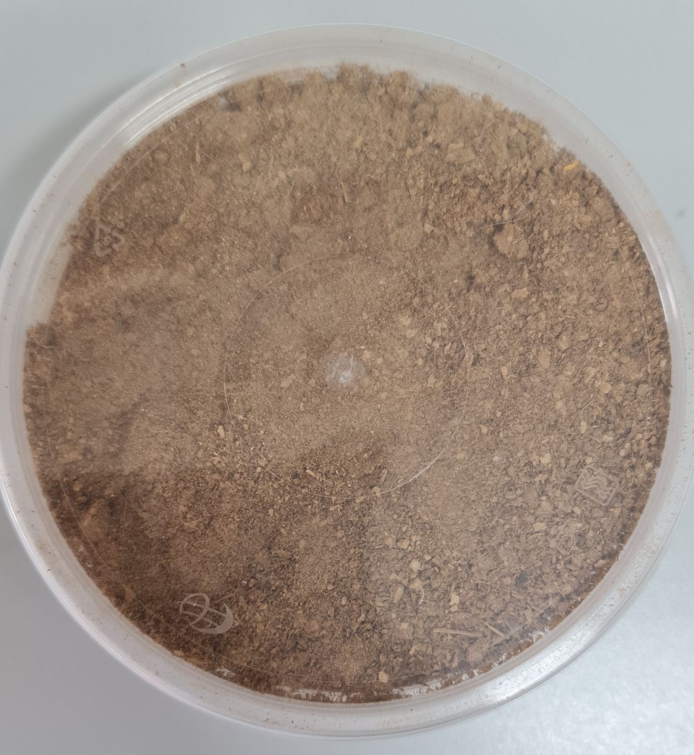 grounded ogbono 250gr
