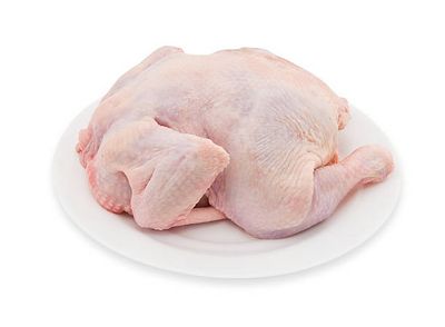 poultry / gevogelte