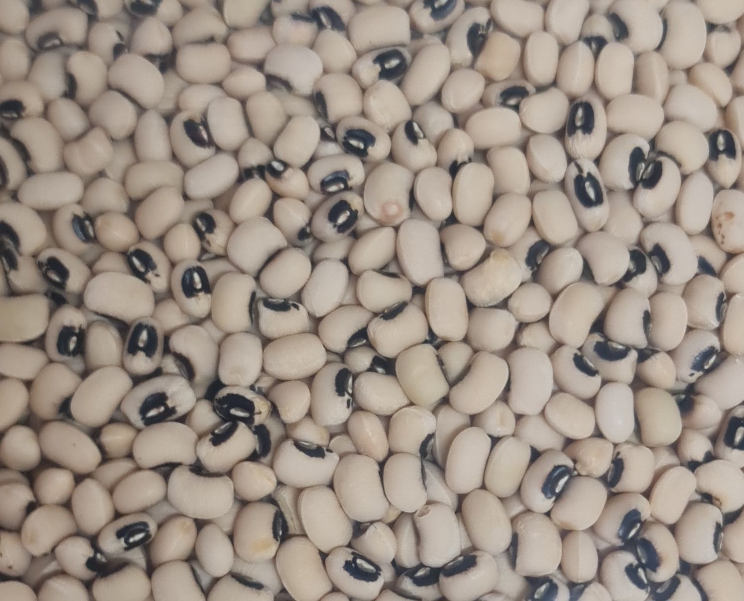 black eye beans  1kg