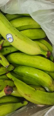 green plantain