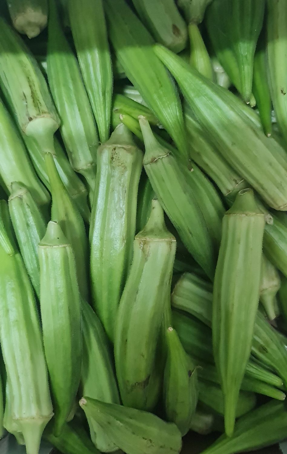 okro 500gr