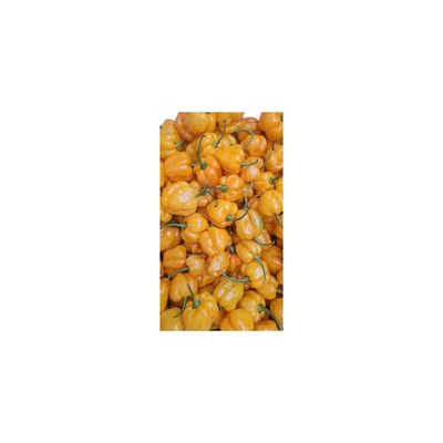 yellow pepper yellow pepper