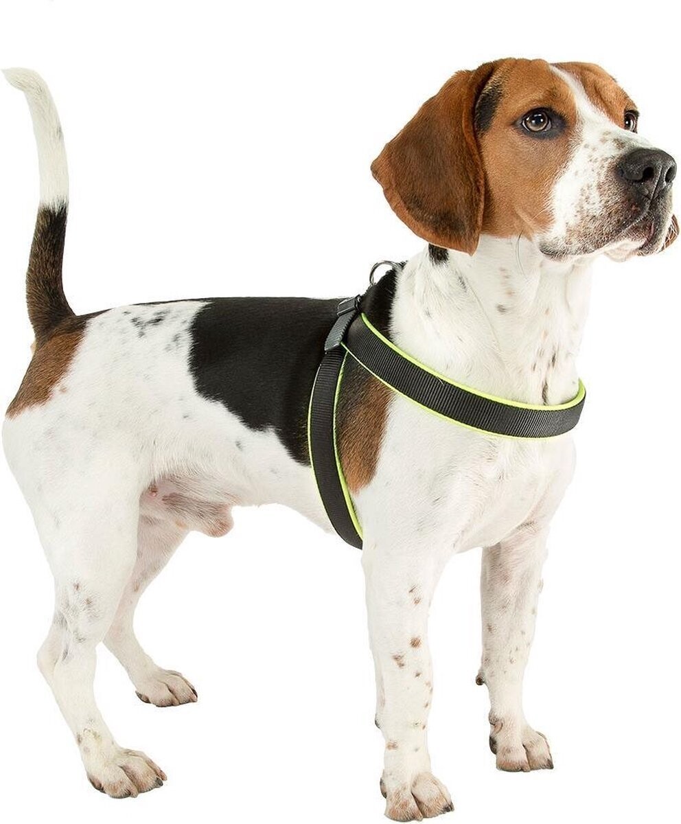 Ferplast Agila Fluo