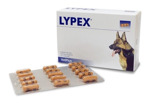 Vetplus Lypex  vervangen door zymoral