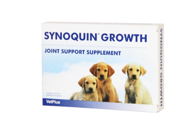 Vetplus Synoquin Growth ® 60 capsules