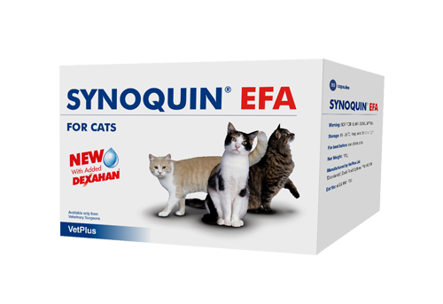 Vetplus Synoquin EFA Cat 90 capsules