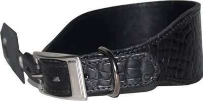 Aloke greyhound Halsband