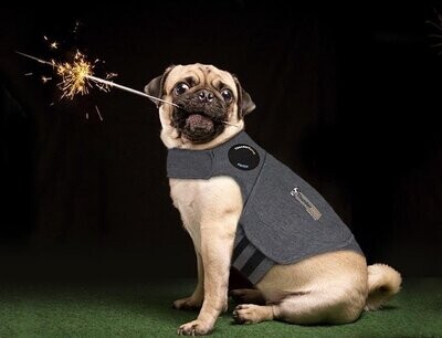 Thundershirt Antistress Vest