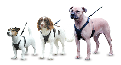 Antitrek-harnas Medium nekbreedte: 30-43 cm