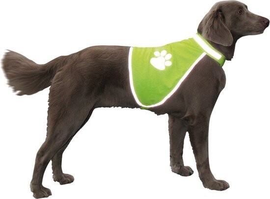 Nobby Veiligheidsvest Reflecterend Geel - Borst 39-50 cm hals 28-42 cm