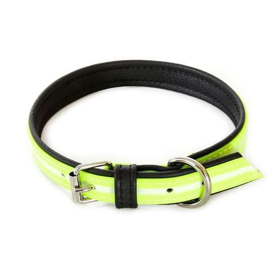 Julius-K9 IDC® Lumino collar