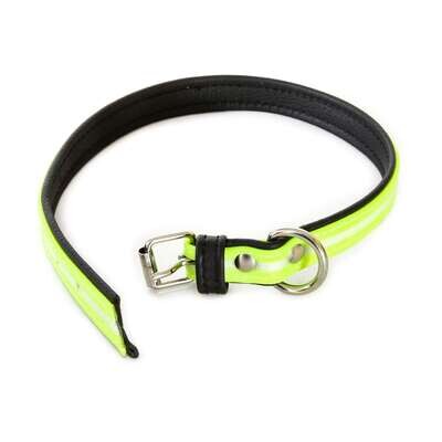 Julius-K9 IDC® Lumino collar
