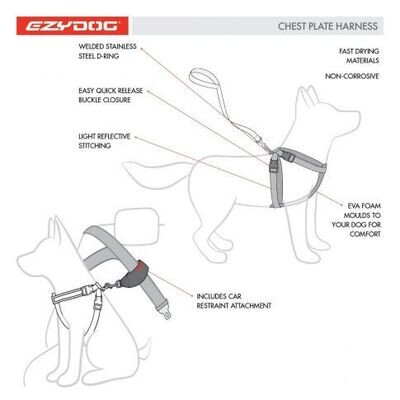 Ezydog Borsttuig hond
