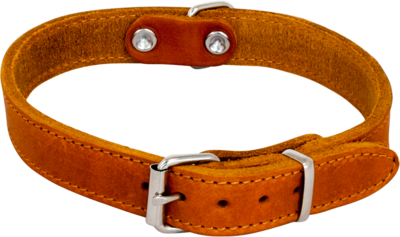 Jack and vanilla  Halsband vetleder