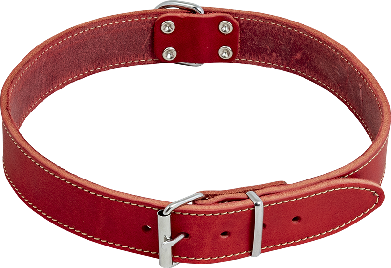 Jack and vanilla  Halsband vetleder