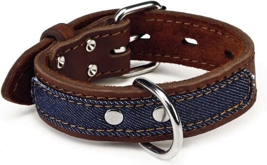 Beeztees halsband Denim 40 cm x 30 mm