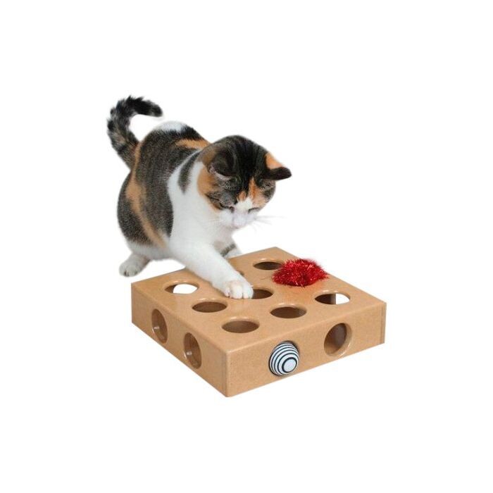 Wooden Cat Play