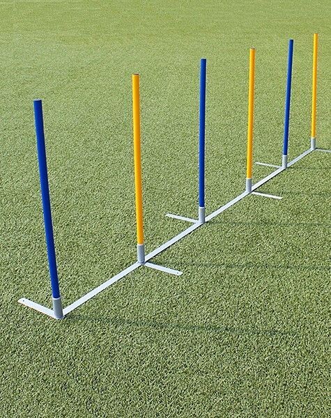 AGILITY SLALOM - SET VAN 6 PALEN MET GRONDSTRIP