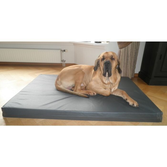 ORTHOPEDISCH HONDENBED LEATHERLOOK