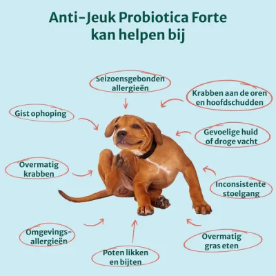 dogsuppy Anti jeuk Probiotica 100 % natuurlijk 60 snoepjes