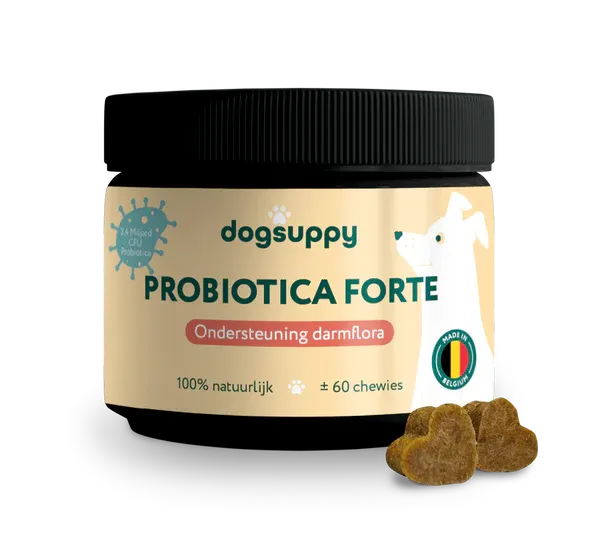 dogsuppy Probiotica Forte | Voor een optimale darmgezondheid | 60 snoepjes ipv fibor