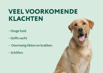 Huid &amp; Vacht met Omega 3-6-9 | 100% Natuurlijk | 60 Snoepjes