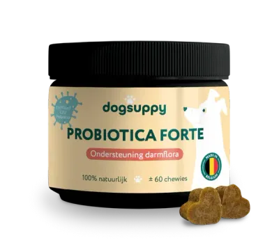 dogsuppy Probiotica Forte | Voor een optimale darmgezondheid | 60 snoepjes ipv fibor