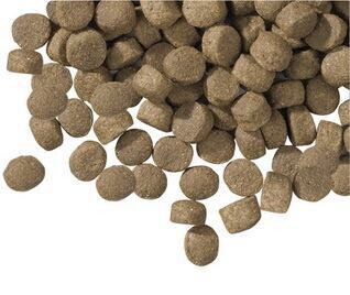LOBO Premium Lamb &amp; Rice