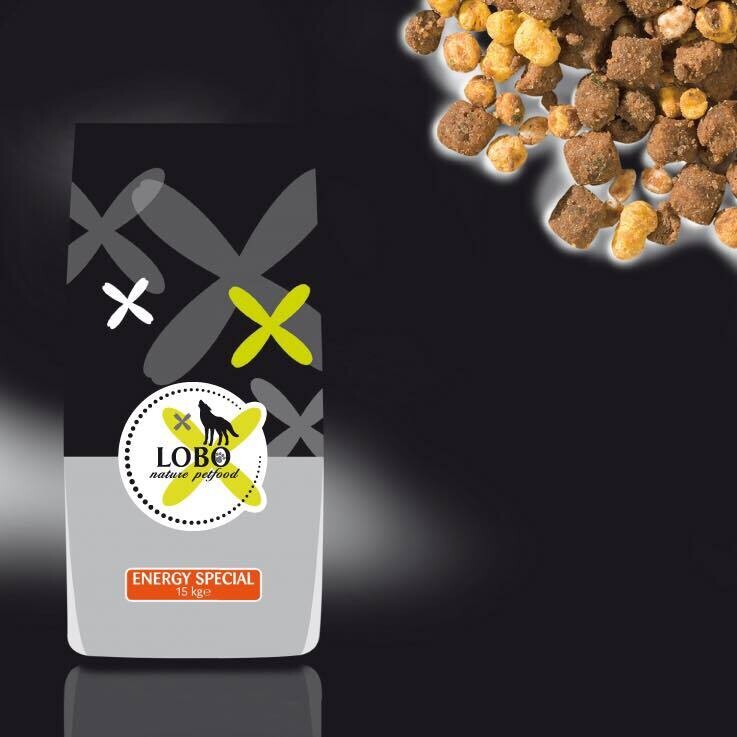 LOBO Energy Special